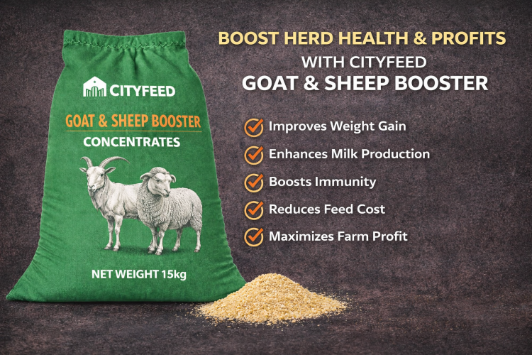 ./Goat___Sheep_Booster_Concentrates_by_CityFeed_1775220178290