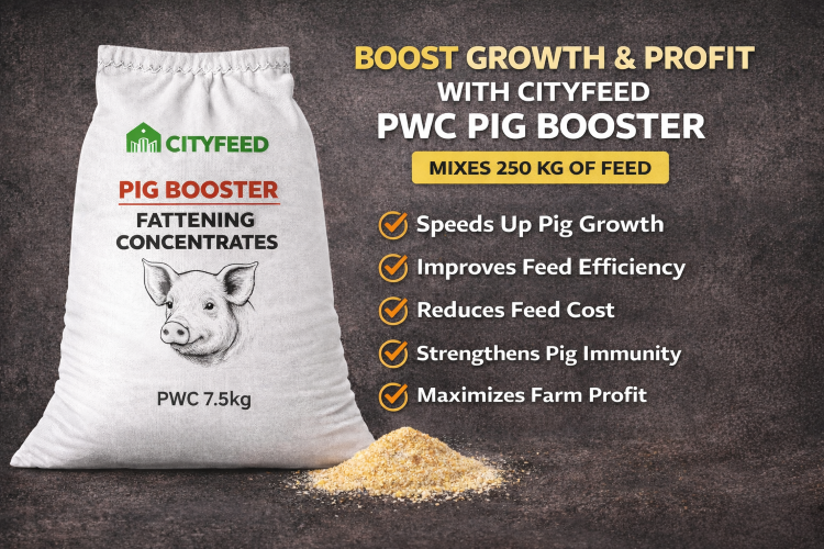 ./Pig_Booster_Concentrates_for_weaners__growers_and_finishers_by_CityFeed_1775219977426